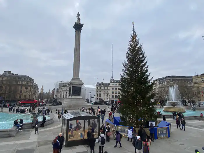 arbol navidad en trafalgar square