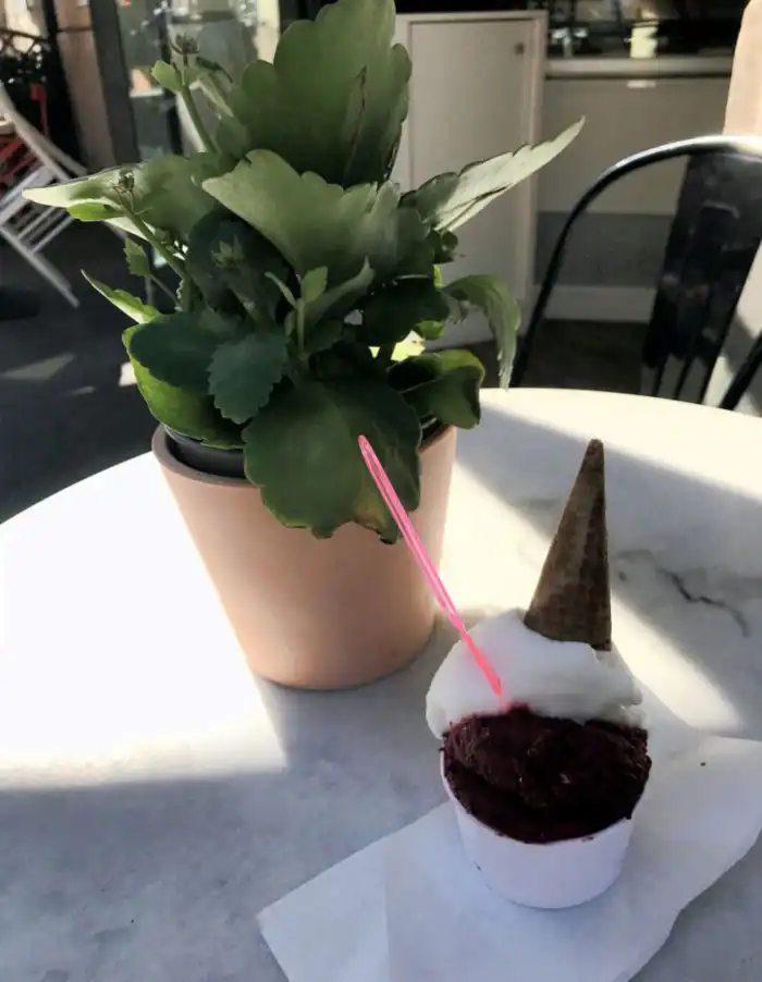 al conosseo heladeria en roma