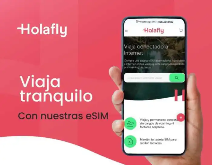 banner holafly