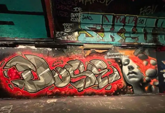 imagen cara en leake street arches
