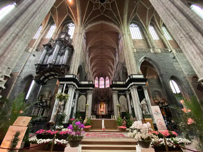 interior catedral de san bavon