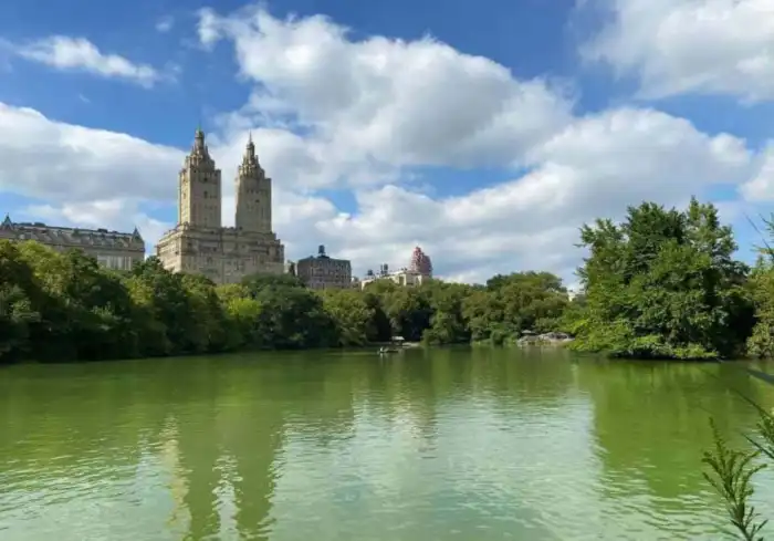 lago central park
