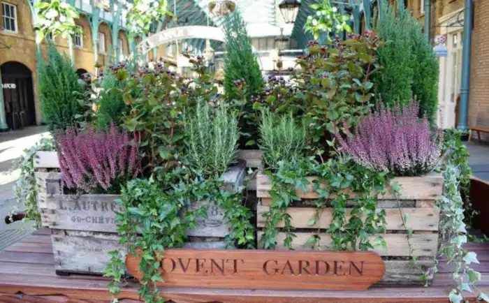 donde dormir en covent garden