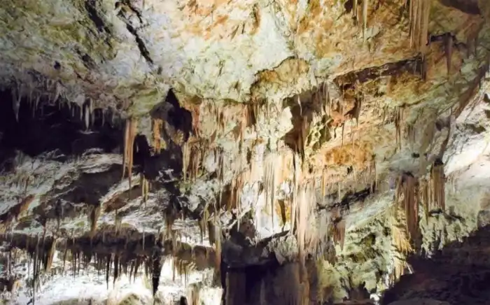 estalactitas en el interior de la cueva