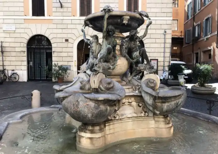 imagen frontal fuente de las tortugas