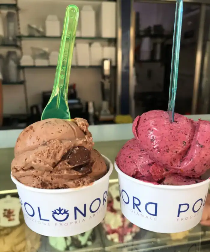 gelateria heladeria polo nord