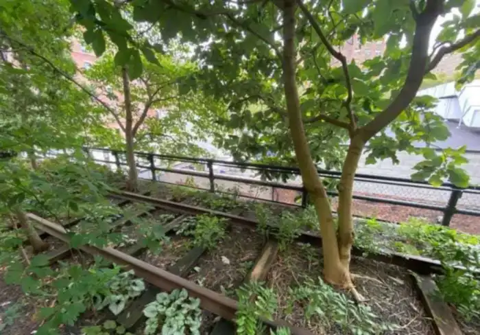 high line vias del tren