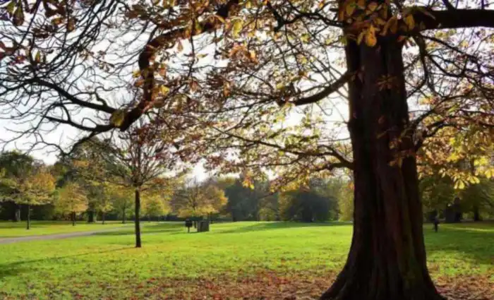 kensington gardens parque