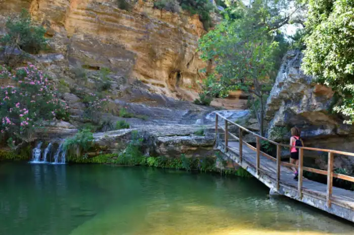 la canal de navarres valencia