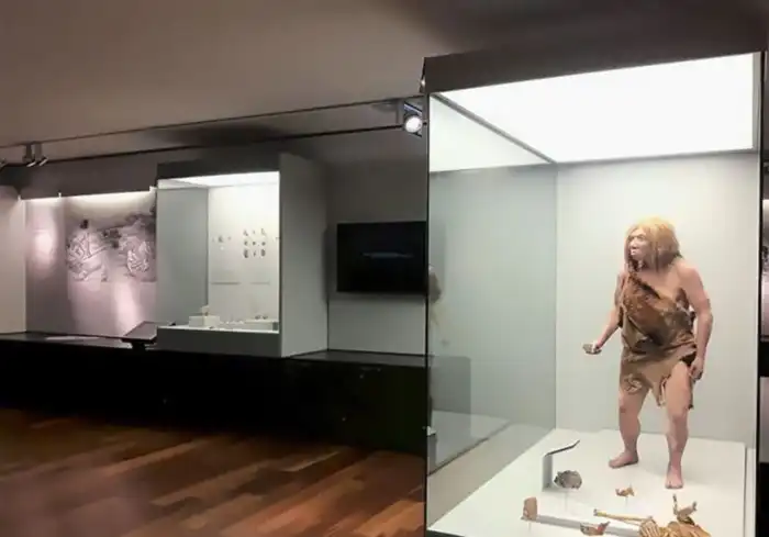 interior sala museo arqueologico de asturias