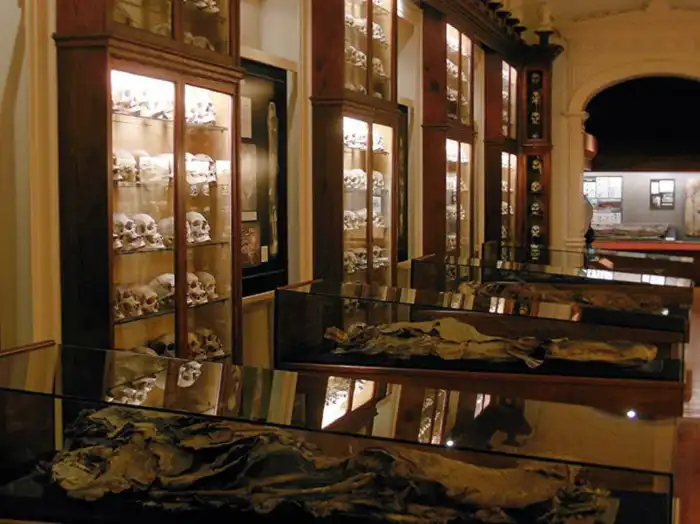 interior museo canario