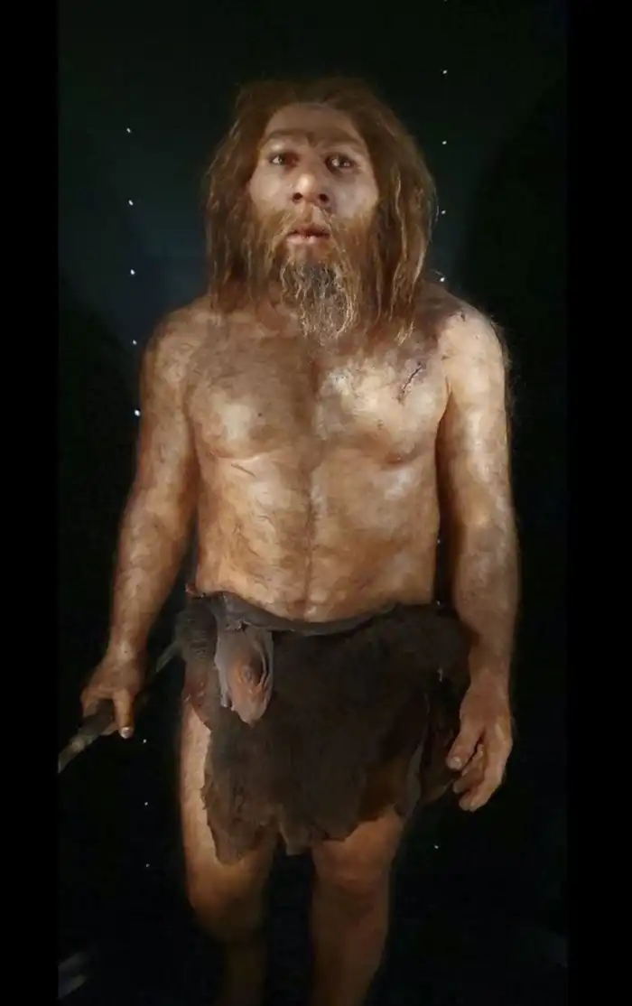 imagen museo de la evolucion