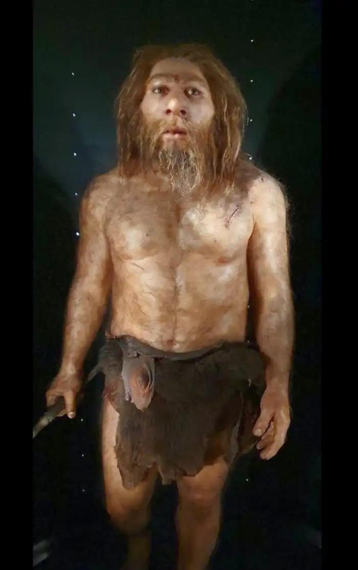 museo de la evolucion humana burgos