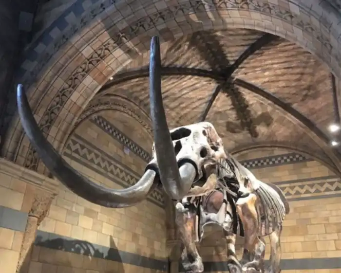 museo de historia natural en londres