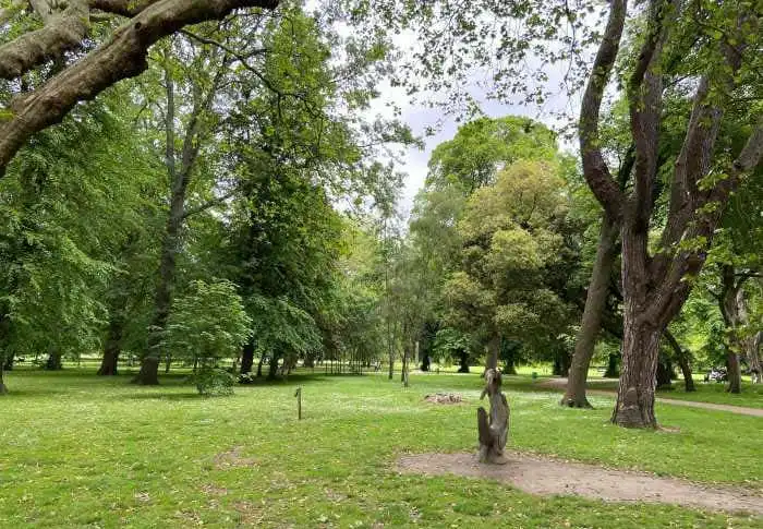 parque bute cardiff