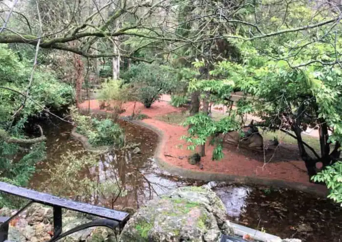 vista parque-de-la-florida