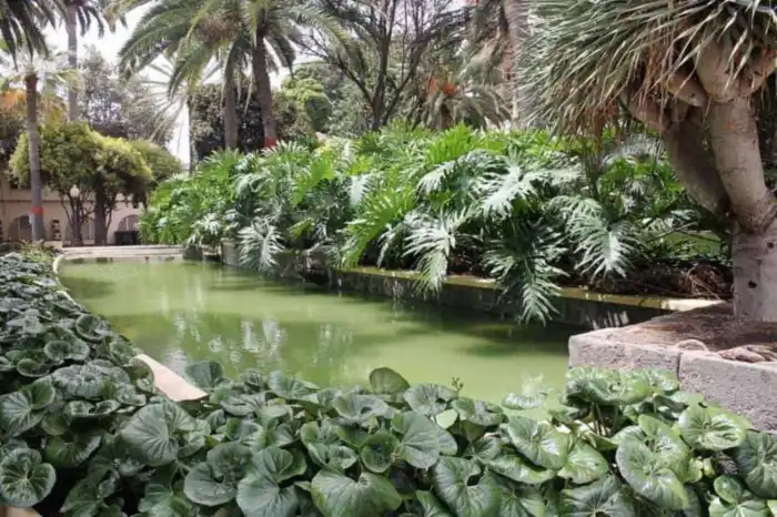 parque doramas uno de los mejores parques que ver en las palmas de gran canaria