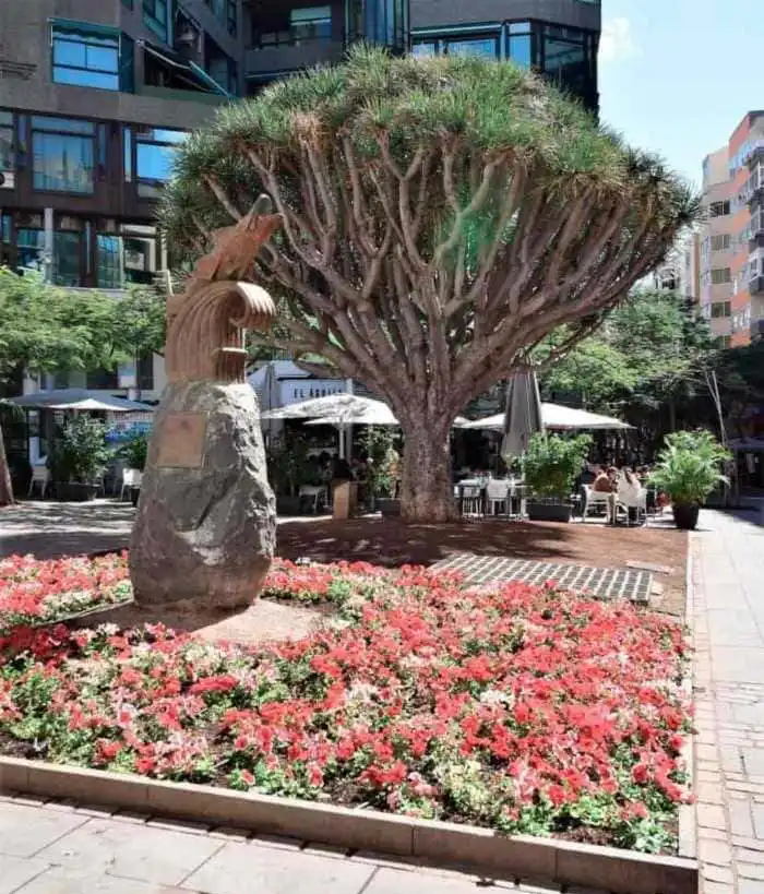 imagen plaza del chicharro