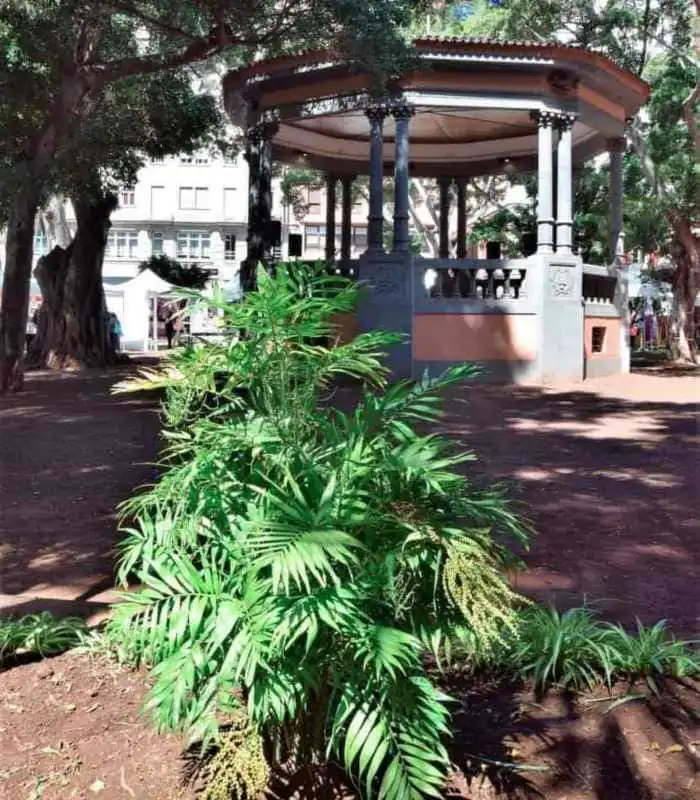plaza del principe santa cruz de tenerife
