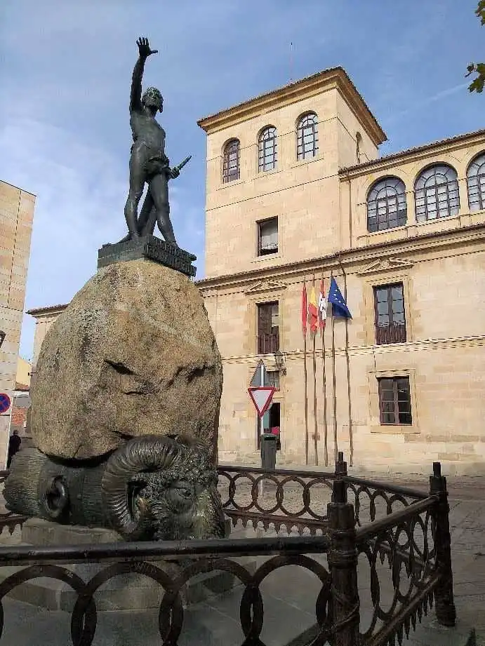 plaza de viriato