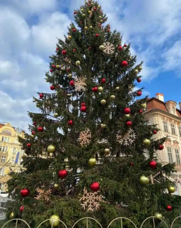 arbol decorado con motivos navidenos praga