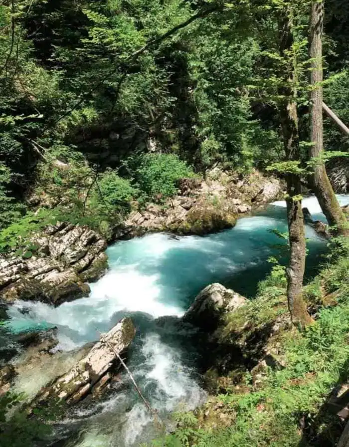 rapidos-vintgar gorge