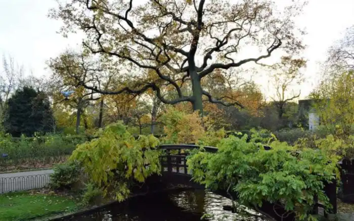 puente en regents-park