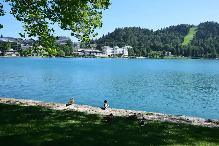 vista frontal lago bled