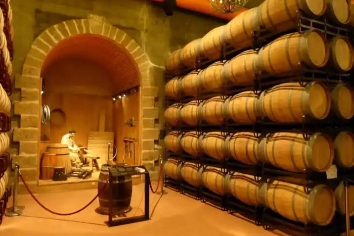 interior museo del vino