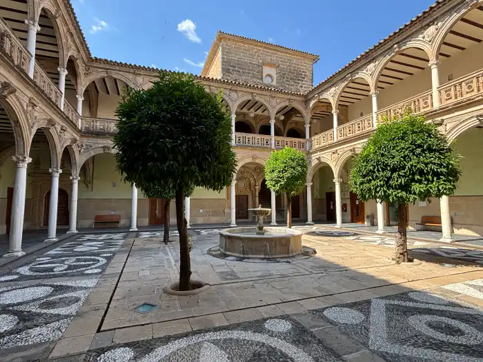 vista general del palacio de jabalquinto