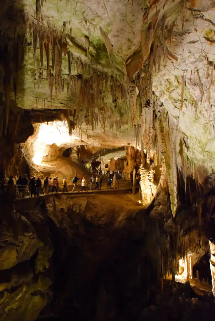 interior de la cueva de postjona uno de los lugares mas impresionantes que puedes ver en eslovenia