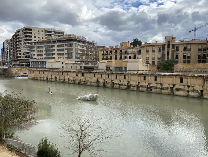 la sardina que emerge del agua curiosa escultura que tienes que ver en tu viaje de un dia a murcia