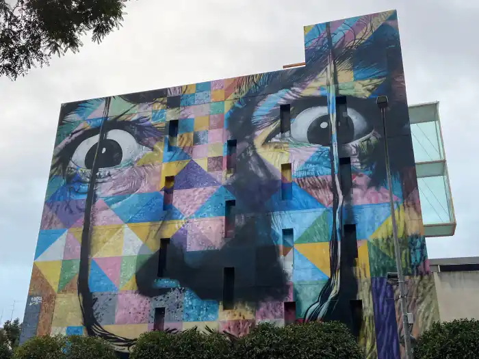 bonito mural de dali en murcia