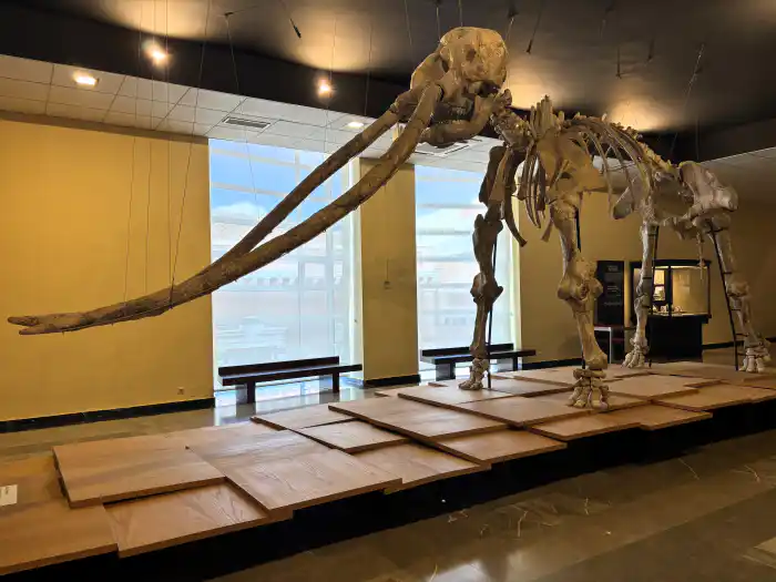 interior del museo de ciudad real imprescindible en tu viaje de un dia a ciudad real